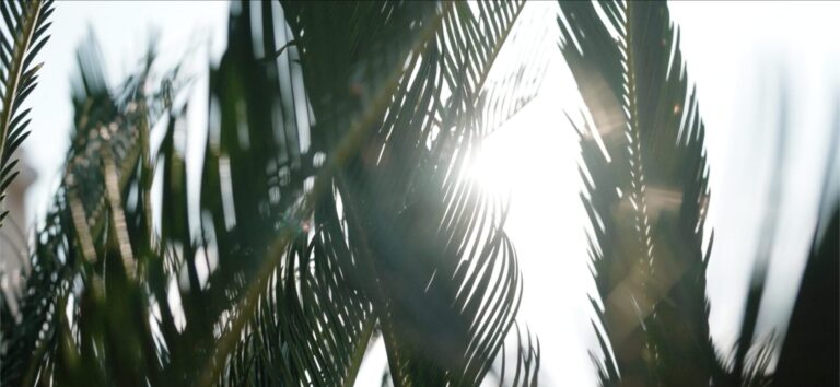 スクリーンショット 2026-01-20 18.01